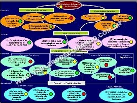 BalancedScorecardquees001 BalancedScorecardquees0011 Balanced Scorecard: ¿Qué Es? ¿Para Qué Sirve?