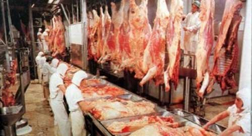 ROI de una PyME roi frigorifico1 Retorno de la Inversión (ROI) Cálculo del ROI ROI en una PyME